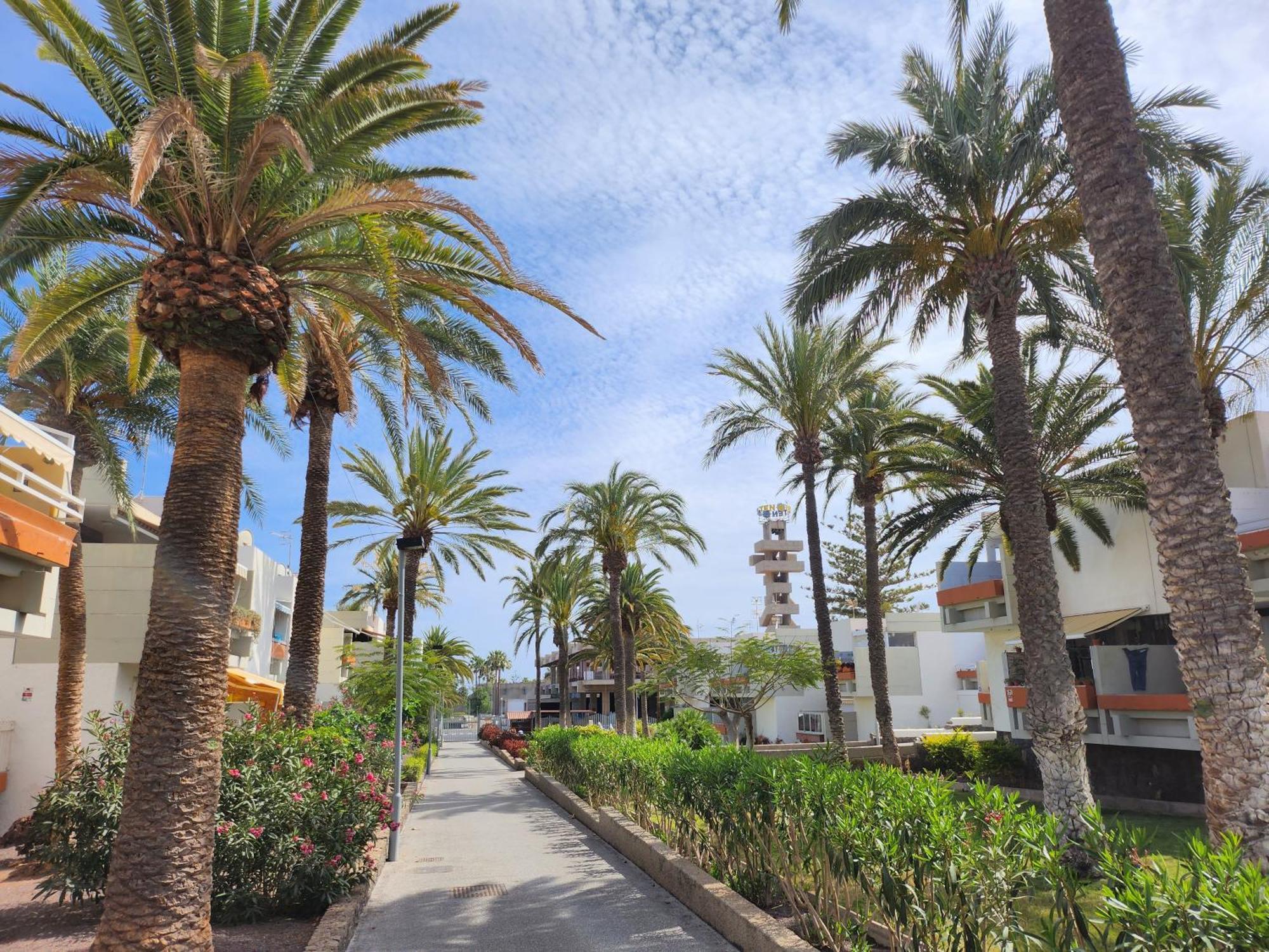 Tenerife Sunshine South Apartment Beach By La Ballena Arona  Exterior foto