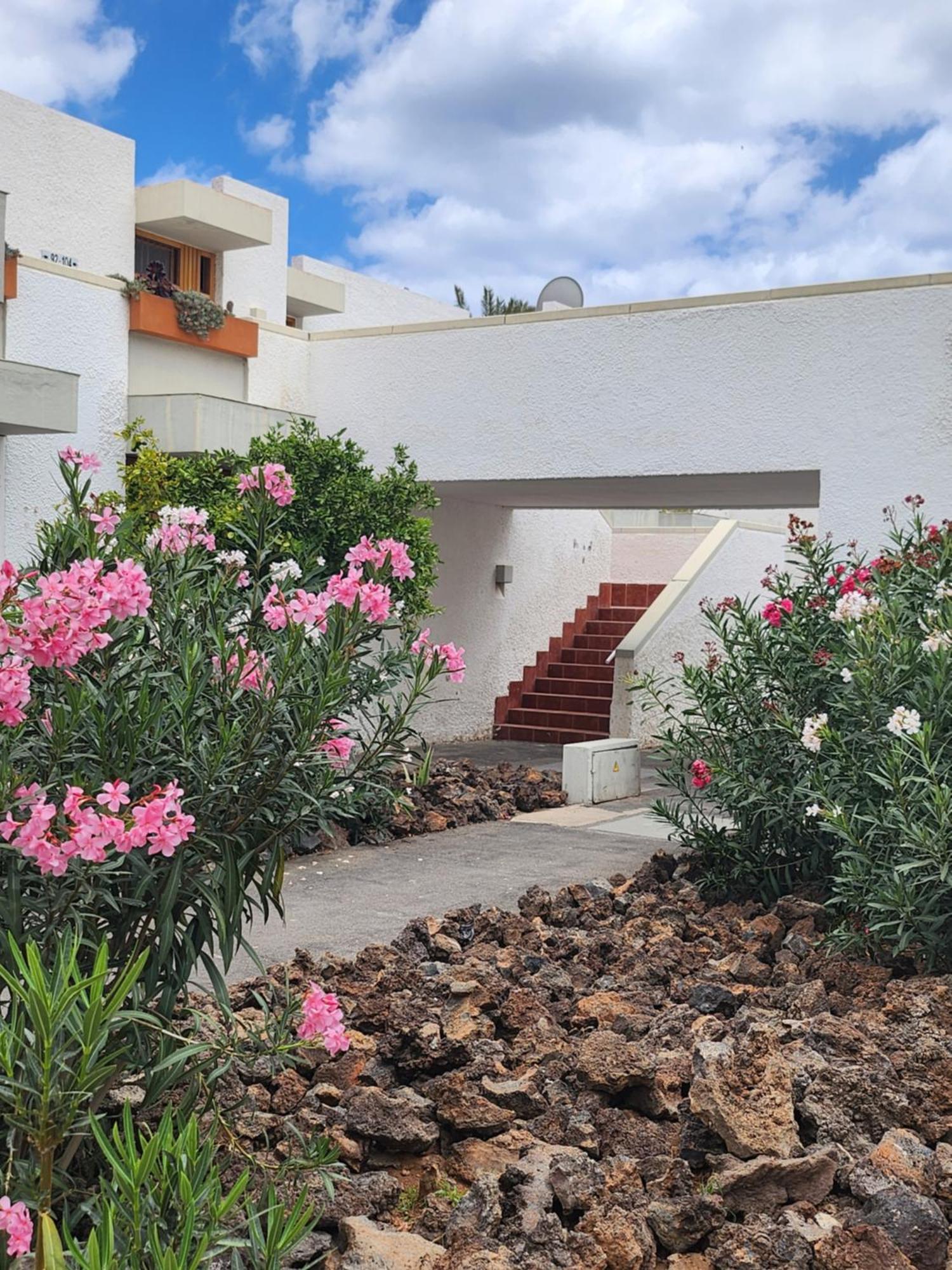 Tenerife Sunshine South Apartment Beach By La Ballena Arona  Exterior foto