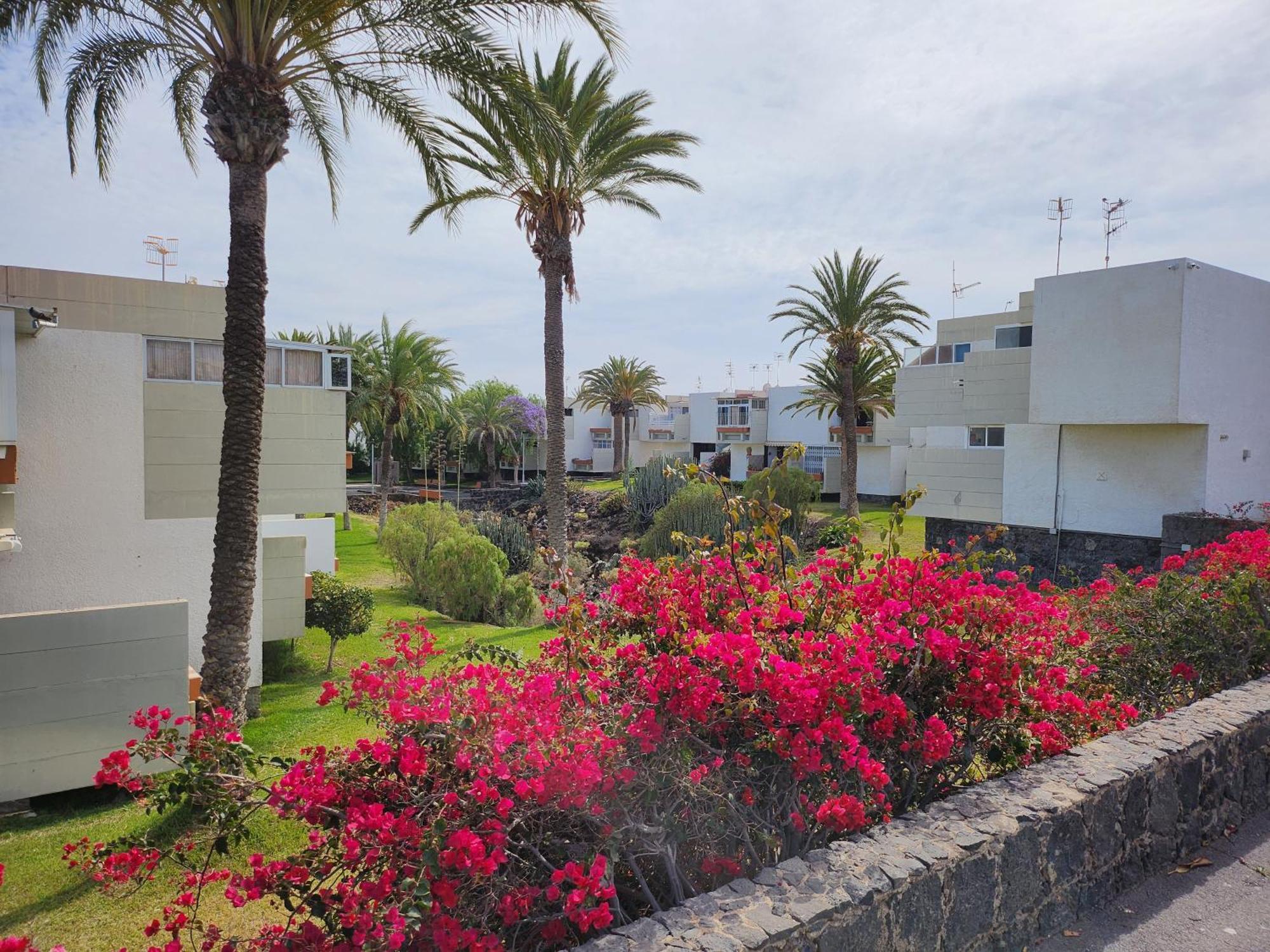 Tenerife Sunshine South Apartment Beach By La Ballena Arona  Exterior foto
